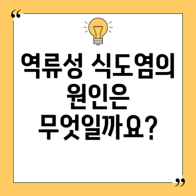 역류성 식도염의 원인은 무엇일까요?