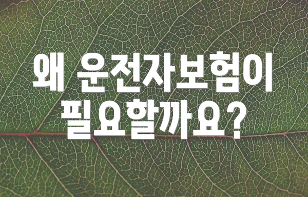 왜 운전자보험이 필요할까요?