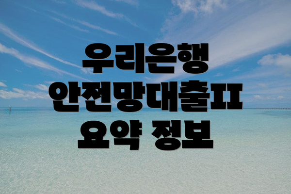 우리은행 안전망대출II 요약 정보