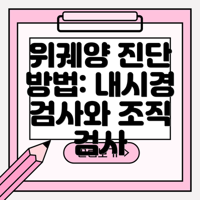 위궤양 진단 방법: 내시경 검사와 조직 검사