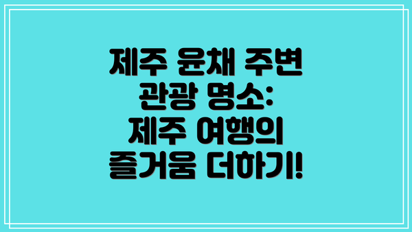 제주 윤채 주변 관광 명소: 제주 여행의 즐거움 더하기!