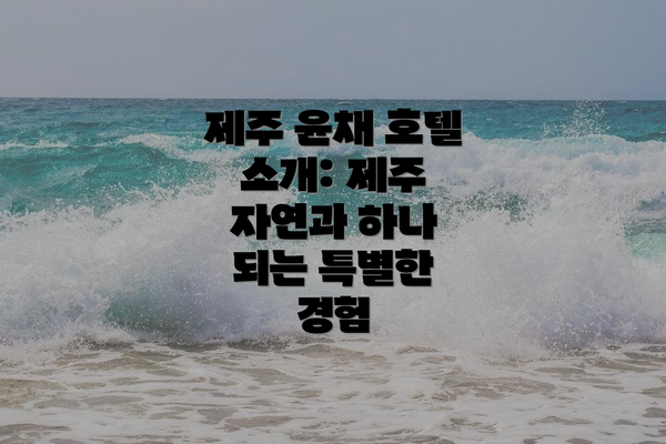 제주 윤채 호텔 소개: 제주 자연과 하나 되는 특별한 경험