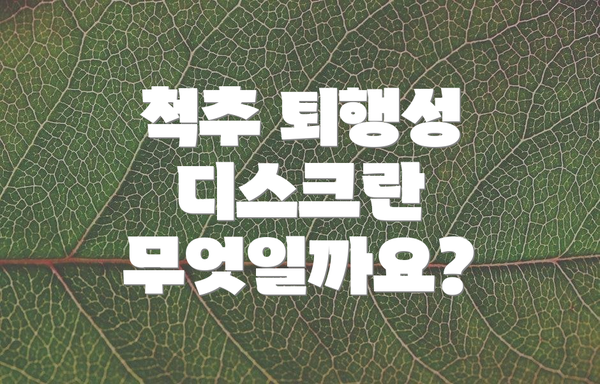 척추 퇴행성 디스크란 무엇일까요?