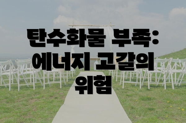 탄수화물 부족: 에너지 고갈의 위험