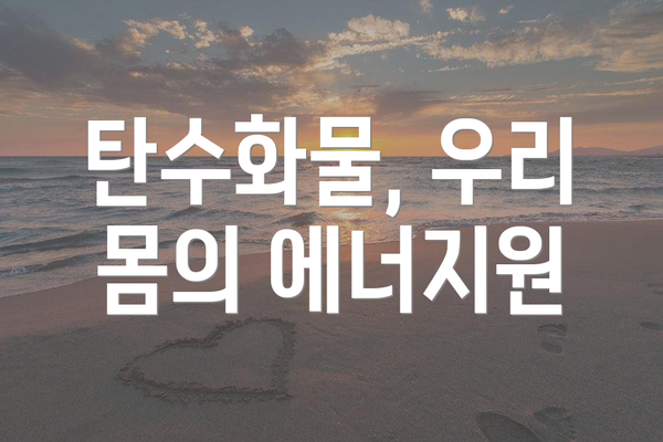 탄수화물, 우리 몸의 에너지원