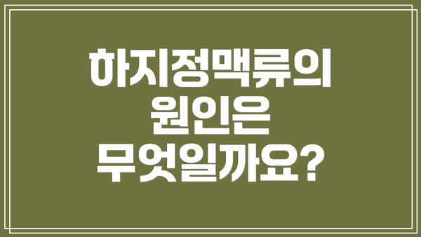 하지정맥류의 원인은 무엇일까요?