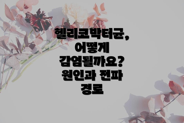 헬리코박터균, 어떻게 감염될까요? 원인과 전파 경로