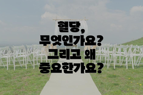 혈당, 무엇인가요? 그리고 왜 중요한가요?