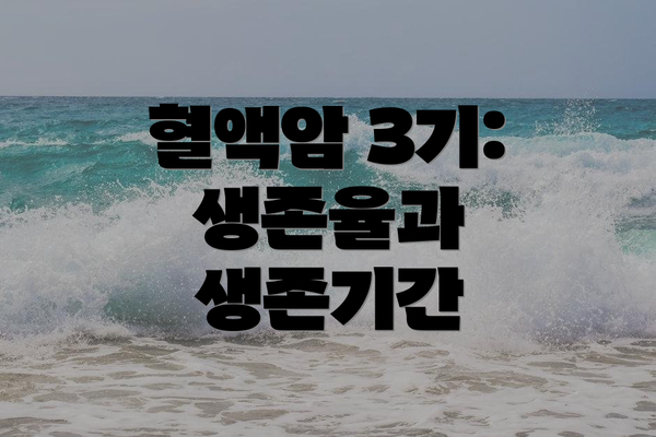 혈액암 3기: 생존율과 생존기간