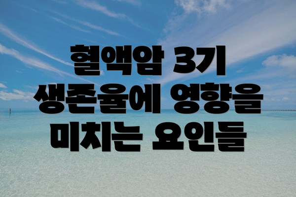 혈액암 3기 생존율에 영향을 미치는 요인들