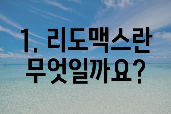 1. 리도맥스란 무엇일까요?