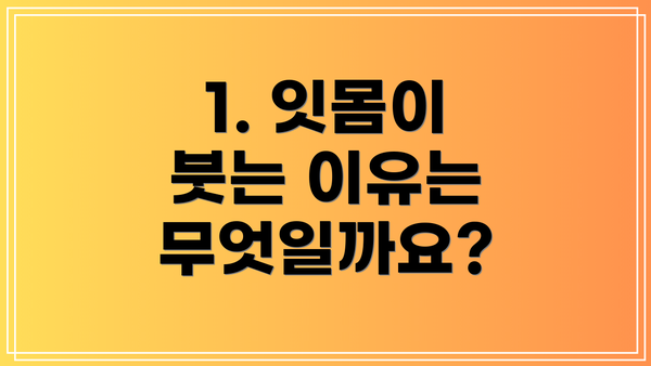 1. 잇몸이 붓는 이유는 무엇일까요?