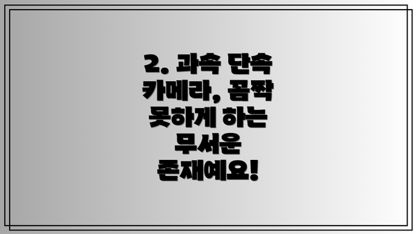 2. 과속 단속 카메라, 꼼짝 못하게 하는 무서운 존재예요!
