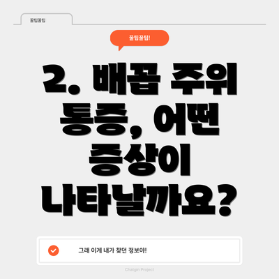 2. 배꼽 주위 통증, 어떤 증상이 나타날까요?