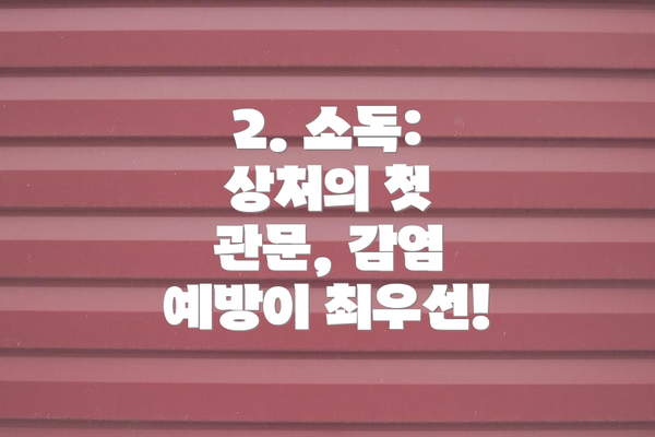 2. 소독: 상처의 첫 관문, 감염 예방이 최우선!
