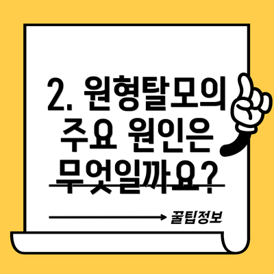 2. 원형탈모의 주요 원인은 무엇일까요?