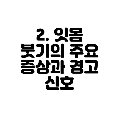 2. 잇몸 붓기의 주요 증상과 경고 신호
