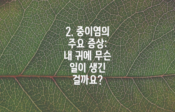 2. 중이염의 주요 증상: 내 귀에 무슨 일이 생긴 걸까요?