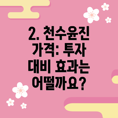 2. 천수윤진 가격: 투자 대비 효과는 어떨까요?