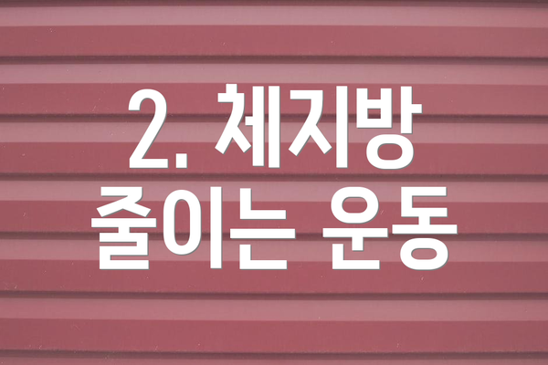 2. 체지방 줄이는 운동