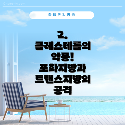 2. 콜레스테롤의 악몽! 포화지방과 트랜스지방의 공격