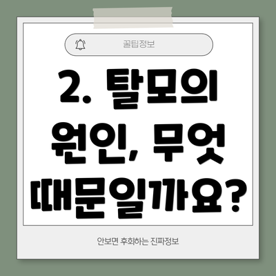 2. 탈모의 원인, 무엇 때문일까요?