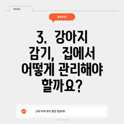 3. 강아지 감기, 집에서 어떻게 관리해야 할까요?
