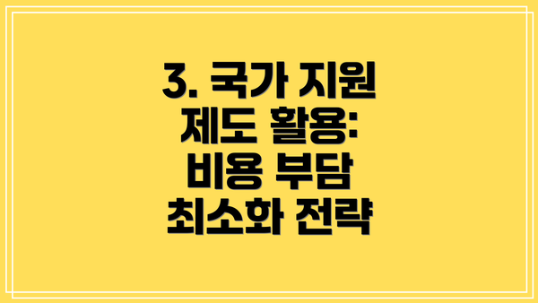 3. 국가 지원 제도 활용: 비용 부담 최소화 전략