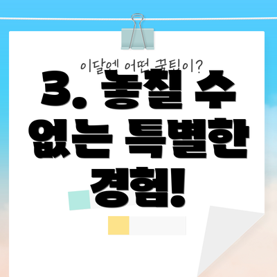 3. 놓칠 수 없는 특별한 경험!