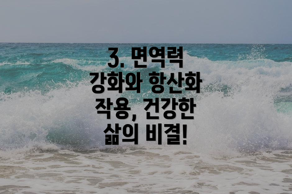 3. 면역력 강화와 항산화 작용, 건강한 삶의 비결!