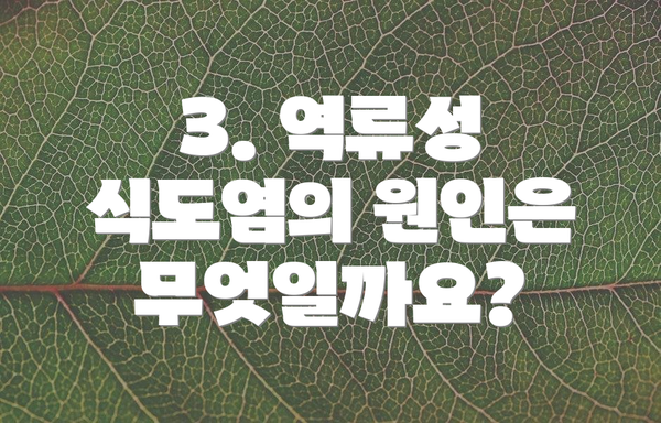 3. 역류성 식도염의 원인은 무엇일까요?
