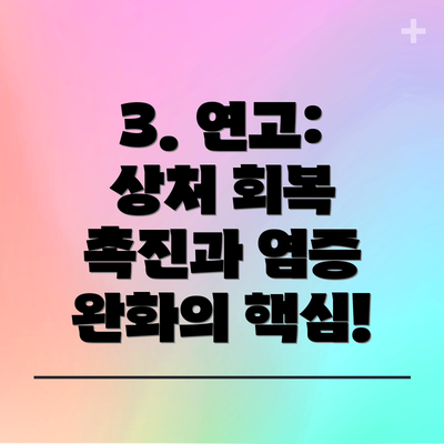 3. 연고: 상처 회복 촉진과 염증 완화의 핵심!