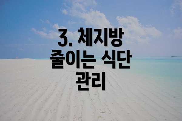 3. 체지방 줄이는 식단 관리