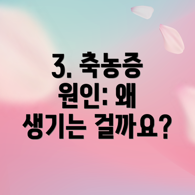 3. 축농증 원인: 왜 생기는 걸까요?