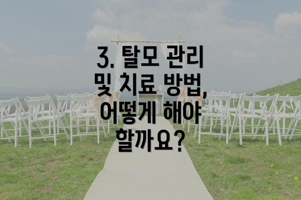 3. 탈모 관리 및 치료 방법, 어떻게 해야 할까요?