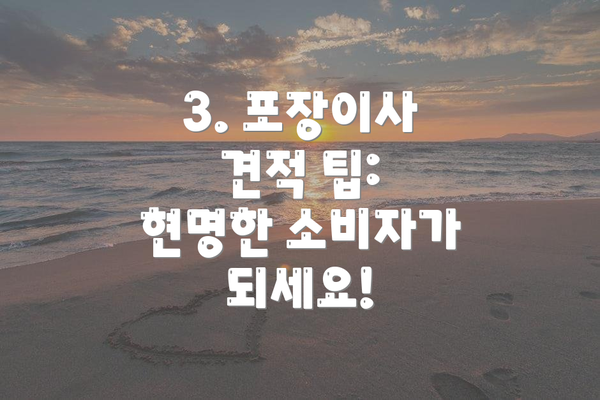 3. 포장이사 견적 팁: 현명한 소비자가 되세요!