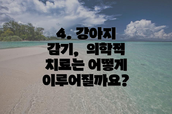 4. 강아지 감기, 의학적 치료는 어떻게 이루어질까요?