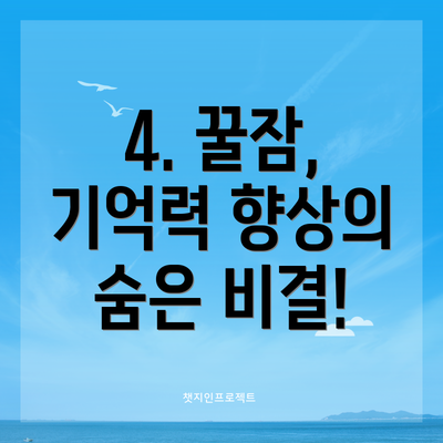 4. 꿀잠, 기억력 향상의 숨은 비결!