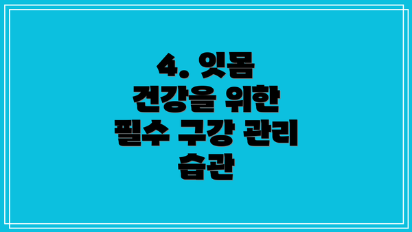 4. 잇몸 건강을 위한 필수 구강 관리 습관