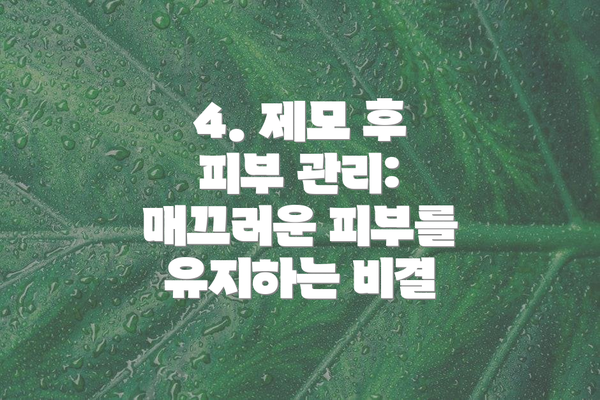 4. 제모 후 피부 관리:  매끄러운 피부를 유지하는 비결