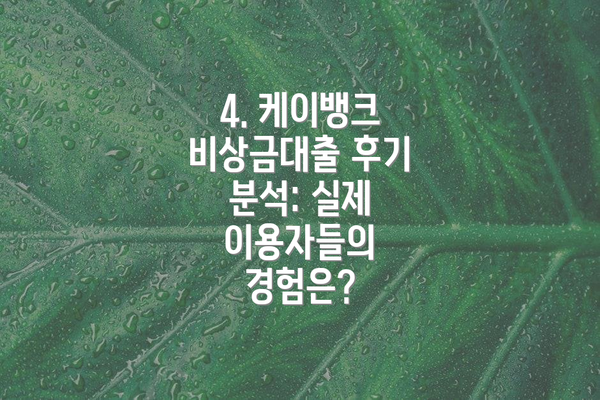 4. 케이뱅크 비상금대출 후기 분석: 실제 이용자들의 경험은?