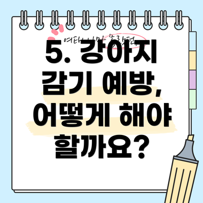 5. 강아지 감기 예방, 어떻게 해야 할까요?