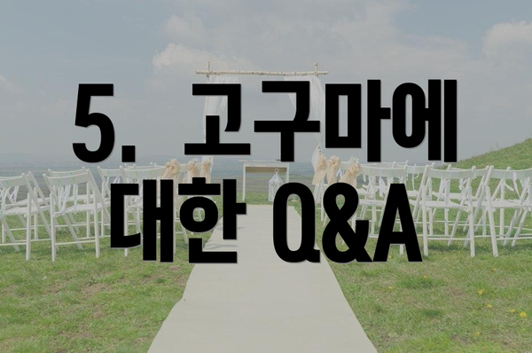 5.  고구마에 대한 Q&A