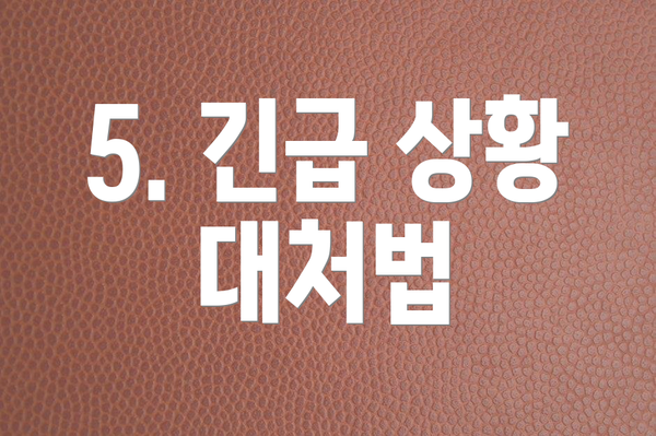 5. 긴급 상황 대처법
