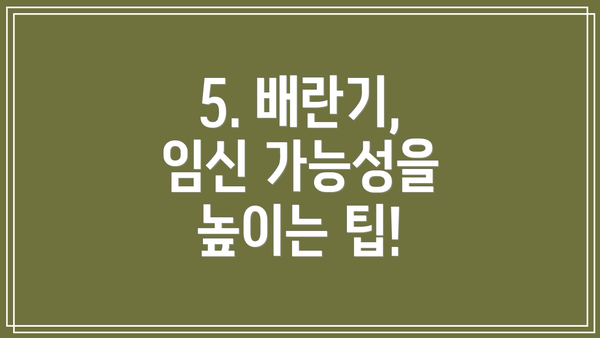 5. 배란기, 임신 가능성을 높이는 팁!