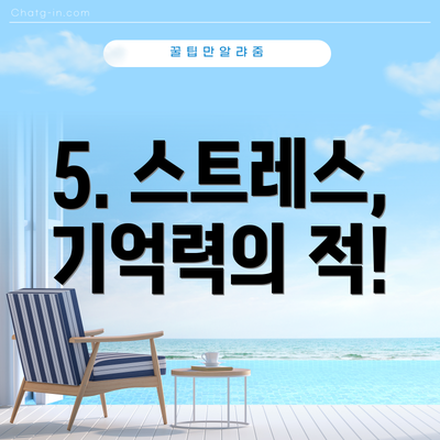 5. 스트레스, 기억력의 적!