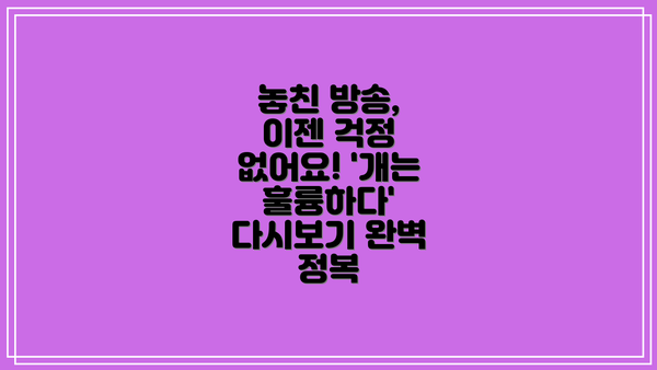 놓친 방송, 이젠 걱정 없어요! '개는 훌륭하다' 다시보기 완벽 정복