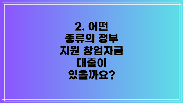 2. 어떤 종류의 정부 지원 창업자금 대출이 있을까요?