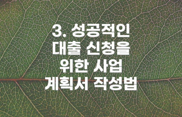 3. 성공적인 대출 신청을 위한 사업 계획서 작성법