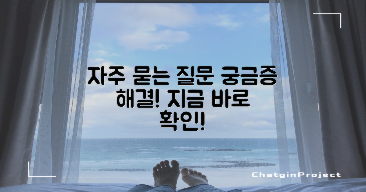 자주 묻는 질문
